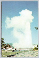 Postcard Old Faithful Yellowstone Wyoming, Union Pacific Railroad picture