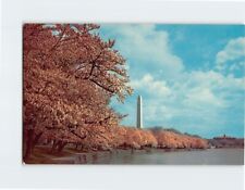 Postcard Washington Monument Cherry Blossom Time Washington DC picture