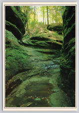 Rocky Hollow Canyon, Turkey Run State Park, Indiana Continental Postcard picture