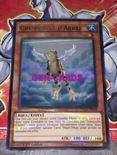YU GI OH TREE FROG DUSA-FR058 Card picture