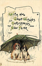 Tuck Christmas New Years Postcard C 5106 Sad Dogs Under Umbrella Trood picture