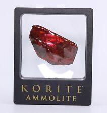 Stunning Ammolite Cherry Red Rarer than Purple 62 g Alberta Canada COA 5823 picture