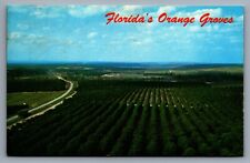 Postcard Orange Groves Citrus Tower Aerial View US27 Clermont Florida c1960s UNP picture