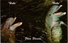 Fla. Postcard Miami Seaquarium Porpoises Dolphins Chrome Unposted picture