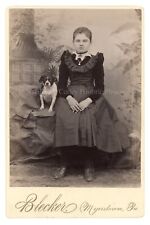 1900s Victorian Girl & Terrier Dog Studio Cabinet Photo picture