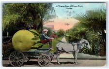 1914 FL Postcard-  EXAGGERATED A WAGON LOAD OF GRAPE FRUIT picture