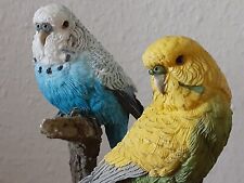 1999 Country Artists For The Discerning Pair of Parakeets Birds of the World picture