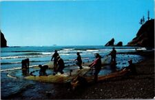 Smelt Fishing Pacific Island Seacoast Oregon Washington VTG Chrome Postcard B24 picture