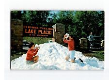Postcard It's No Mirage It's Real Snow Sign, Lake Placid, NY, Chrome 1960 picture