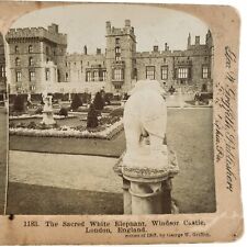 Windsor Castle White Elephant Stereoview c1905 London England Statue Photo B1808 picture