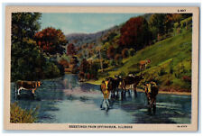 c1940's Greetings from Effingham IL Cows Animal River Trees Farm Postcard picture
