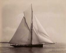 Sailboat Galatea 232 Vessel, Yacht Circa 1890s Classic Old Photo Reprint 8x10 picture