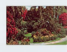Postcard Florida's Sunken Gardens in St. Petersburg USA picture