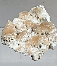 Stilbite on Zeolite Size (Millimeters):   49 x 38 x 16    Weight (grams): 18 picture