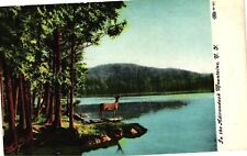 Vintage Postcard- Adirondack Mountains, NY picture