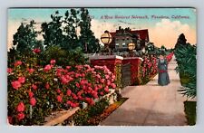 Pasadena CA-California, Rose Bordered Sidewalk, Antique Vintage c1917 Postcard picture