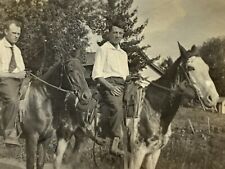 AxF) Found Photograph Men On Horseback White Face Horse Artistic 1920-30's picture