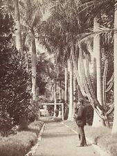 Honolulu Hawaii HI Queens Hospital Grounds 1896 Stereoview SV Photo picture