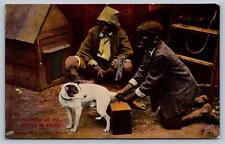 C1906 POSTCARD black boys cutting off dogs tail with ax BETTER DE BREED picture