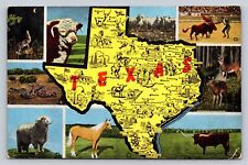 Vintage Texas State Map Animals Multi-View Palomino Horse Kropp Linen Postcard picture