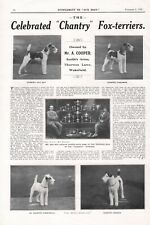 1927 OUR DOGS CHANTRY WIRE FOX TERRIER DOG BREED KENNEL ADVERT PRINT PAGE b201 picture