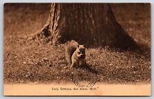 Early Settlers, Ann Arbor, Michigan Vintage Postcard picture