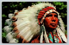 Native American Chief Pocono Mountains Pennsylvania VINTAGE Postcard picture