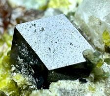 159 Grams Full Terminated Andradite, Vesuvianite Crystals Bunch On Matrix @AFG picture