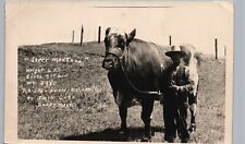 BIGGEST STEER MONTANA baker mt real photo postcard rppc cattle livestock ranch picture