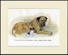 MASTIFF AND PAPILLON LOVELY DOG PRINT MOUNTED READY TO FRAME picture