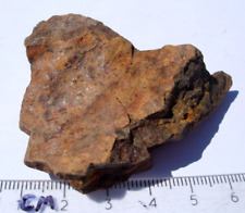 61.6 grams NWA xxx unclassified as found individual stoney Meteorite with a COA picture