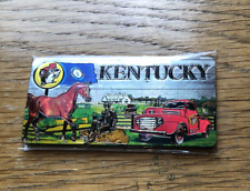 Two Sided Buc-ee's Souvenir Kentucky Magnet - Metallic 1.75 x 3.5 in.- New picture