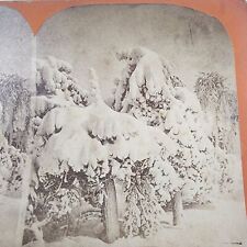 Antique Stereoview Card Deep Winter Scene Late 1800s or Early 1900s picture