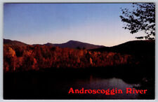 Androscoggin River New Hampshire Maine ME Postcard picture