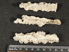 Lot of Three Larger 100% Natural HOLLOW FULGURITE s or Petrified Lighting 14.6gr picture