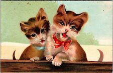 Two Cat Kittens Postcard Brown Haired Bow Embossed Animals c1910s Antique JB29 picture