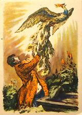 1957 Fairy Tale Ivan Tsarevich and the Firebird Child Vintage Postcard picture