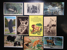 30 Postcard lot, Animals. Set 4. Nice picture