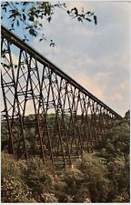 Warren PA Kinzua Bridge Mt. Jewett Erie Railway Vintage Beautiful Postcard picture