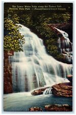 c1940 Lower Waterfalls Turkey Path Harrison State Park Pennsylvania PA Postcard picture