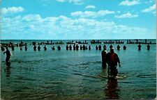 Coho Salmon Fishing In Lake Michigan Postcard picture