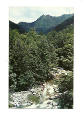 Little Pigeon River Chimney Tops TN Postcard Smoky Mountains US441 c1950s picture