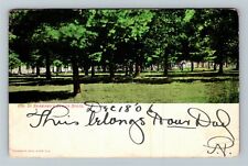 Shawano WI-Wisconsin, Scenic Greetings, Beauty Spots, c1906 Vintage Postcard picture