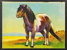 Pony 1970's Wonders of the Animal Kingdom Mini Paper Card #75 (NM) picture