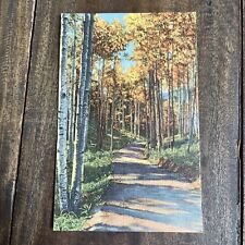 Vintage 1900s The Road Through The Aspens Rocky Mountain Region Blank Colortone picture