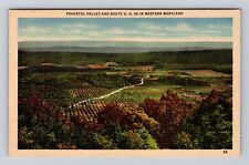 MD-Maryland, Aerial Valley And Route US 40, Antique, Vintage Souvenir Postcard picture