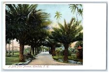c1905 A Date Palm Avenue Exterior View Honolulu Hawaii Vintage Antique Postcard picture