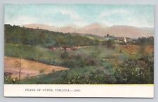 Peaks Of Otter Virginia c1910 Antique Postcard picture