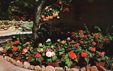 Postcard CA Pacific Grove Begonia Garden 17 Mile Drive Village Vintage PC J7907 picture