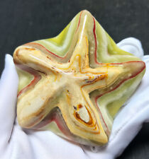 Rare 144.3G Natural Polished Afghan Jade Starfish Agate Reiki Healing WYX04 picture